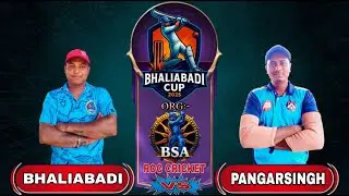 🛑LIVE: MINI ADHAR MATCH: BHALIABADI CRICKET TOURNAMENT 🏆 #RocCricket #RocCricket || #roccricket