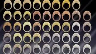 40 Colors of Carrera