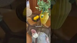 Hide and Seek in a Lake Barcroft home with Realtor Lisa DuBois #realestate #shorts