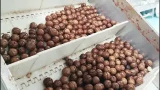 all kinds of flavor macadamia nuts