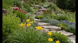The Beauty of Alpine Gardening Hardy Plants for Tough Spots