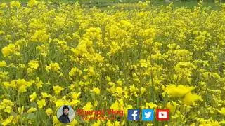 Spring season in Battagram, Pakistan - sherazi vlog