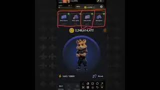 6 Requirements To Qualify For Hamster Kombat Airdrop & Token Allocation