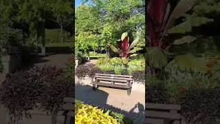 Discover the Beauty of Rosetta McClain Gardens in Canada! 🌸🇨🇦 #hiddengems  #parklife  #shorts