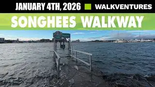 King Tide along Songhees Walkway [4K] January 4th, 2026 - DJI Action 6