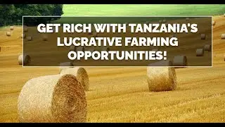 What If You Could Get RICH from Tanzania Farming in Just 6 Months?