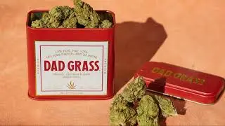 Panama Red Marijuana Strain