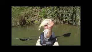 Colorado River Bassin' 7 lb LMB