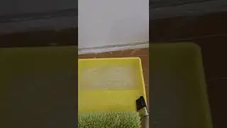 КЛЕЙ ПВА, ДОБАВЛЯТЬ В ОБОЙНЫЙ КЛЕЙ ИЛИ НЕТ.