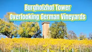Burgholzhof Tower Ambience 🌄🍇 Overlooking German Vineyards | Romantic History Reading Companion