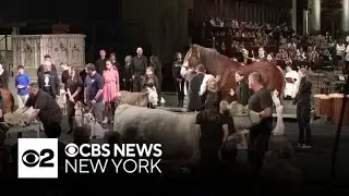 Blessing of the Animals held at the Cathedral of Saint John the Divine