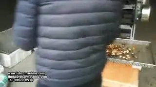 cashew nut shelling machine cashew nut sheller