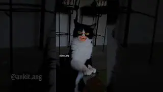 Hakim Baba | Bangad Billa | Ankit Ang #bangadbilla #angvines #hakimbaba #shorts