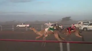 مركاض بديه الشوط الثالث