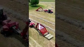 Is this what you're looking for in true love? #valentinesday #hay #farming #agro #shorts