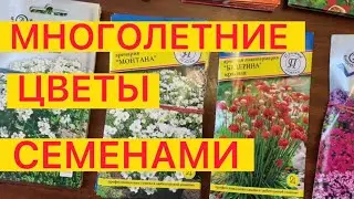 ВЫБИРАЕМ МНОГОЛЕТНИЕ ЦВЕТЫ