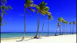 Vamos a la playa amigo  (Snoop Dog Dominicana version)