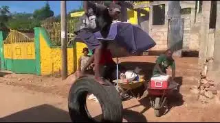 Gade👀 talan ki ap gaspiye an haiti ti jèn sa fè koze ak yon kawotyou machin 