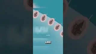 How Jellyfish Sting You?