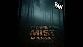 DiM: 5 - The Jade Panther