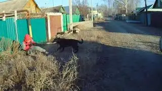MOV05179