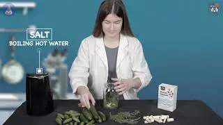 The Science of Fermentation and Pickling Nourish Chicago