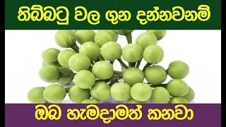 තිබ්බටු වල ගුන දන්නවනම් ඔබ හැමදාමත් කනවා  Rasa Guna Piri Thibbatu