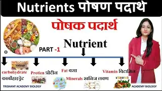 Nutrient | पोषक तत्व | पोषण पदार्थ | कार्बोहाइड्रेट प्रोटीन वसा | Biology NTPC Science |  by Khushi