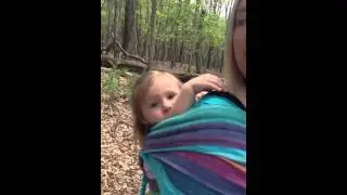 TN state park
