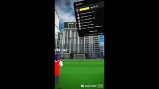sub goal 100
