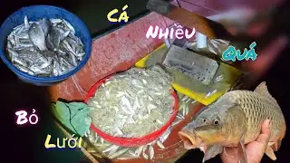 Bố Thả Lưới Đêm Không Ngờ Được Nhiều Như Vậy  /Nhân Bé Nhỏ 