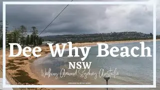 Sydney walk at Dee Why Beach NSW, Australia - Sydney Vlog in Northern beaches