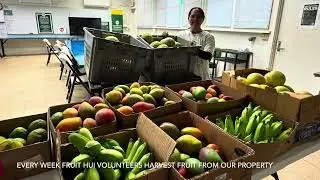 CTAHR-O&rsquo;ahu County: Post Field Trial Food Rescue