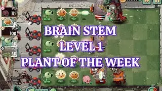 Brain Stem Level 1 Plant of the Week I PvZ2 Official 