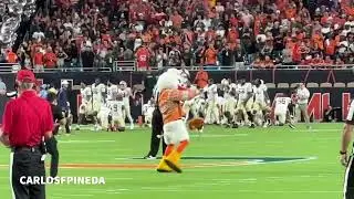Sebastian the Ibis Canes C-A-N-E-S spell out FSU game 2024