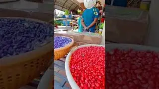 COLOURFUL PEBBLE STONES FOR GARDEN #mannuthy #akkuscloud #kerala #gardening #garden #malayalam