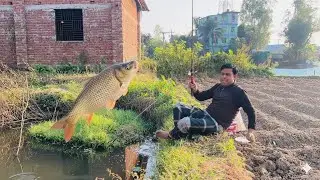 best fish farming techniques 🎣l was surprised to catch such a big fish on a fishing rod.🎣