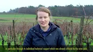 [In English] - Collective action to improve performance in organic viticulture with Agrobio P&eacute;rigord