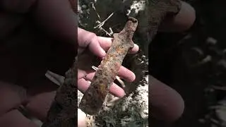 I found a Scythian axe with a metal detector!