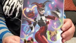 Harley Quinn and punchline DC Comics from Gotham City Comics Unboxing Video 4K