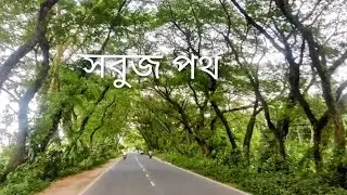 Nature's Arch Highway | The Dreamy Green Path of Jhenaidah | Green Nature Road Bangladesh