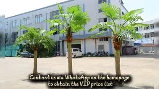 Customizable Large Artificial Evergreen Palm Tree 🌴 | Outdoor Luxury Decor for Villas & Resorts