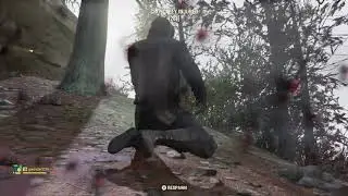 Fallout fail