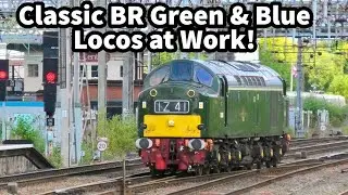 CLASSIC BR Blue & Green Liveried LOCOS at Work at Crewe! Classes 37, 40 & 47 26/06/23