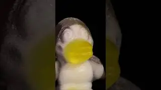 ASMR Jelly melting close-up macro #shorts #satisfying #closeup #asmr #macro