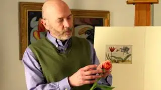 Mark Schlessman on Tulips from 