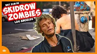 Wat is SKIDROW ? Een Gebied Waar Daklozen Als Zombies Leven!