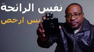 15 بديل للعطور الغالية… نفس الرائحة بسعر أرخص!