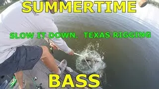 Summertime Texas Rigged Bass Fishing, Lake Viking Missouri 2019
