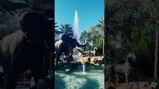 Come on down to the Audubon Zoo!